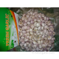 Acheter 2019 Fresh Normal Garlic